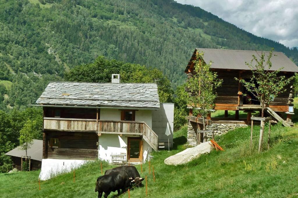 Appartement "Le Ver Luisant" A Saint-Martin, Val D'Herens, Valais المظهر الخارجي الصورة